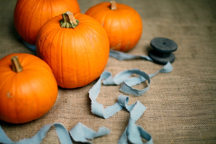 pumpkins